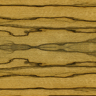 Quartered black limba, natural