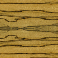 Quartered black limba, natural