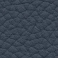 Leather: Cantabrian Sea, AU 0631